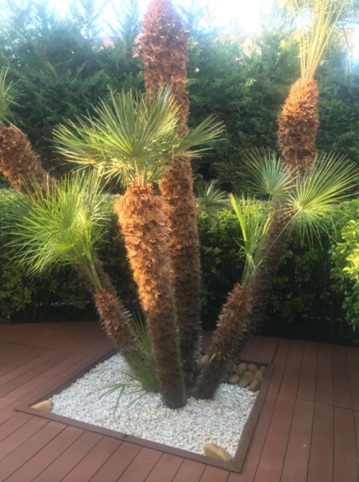 Apartment T2 150m From The